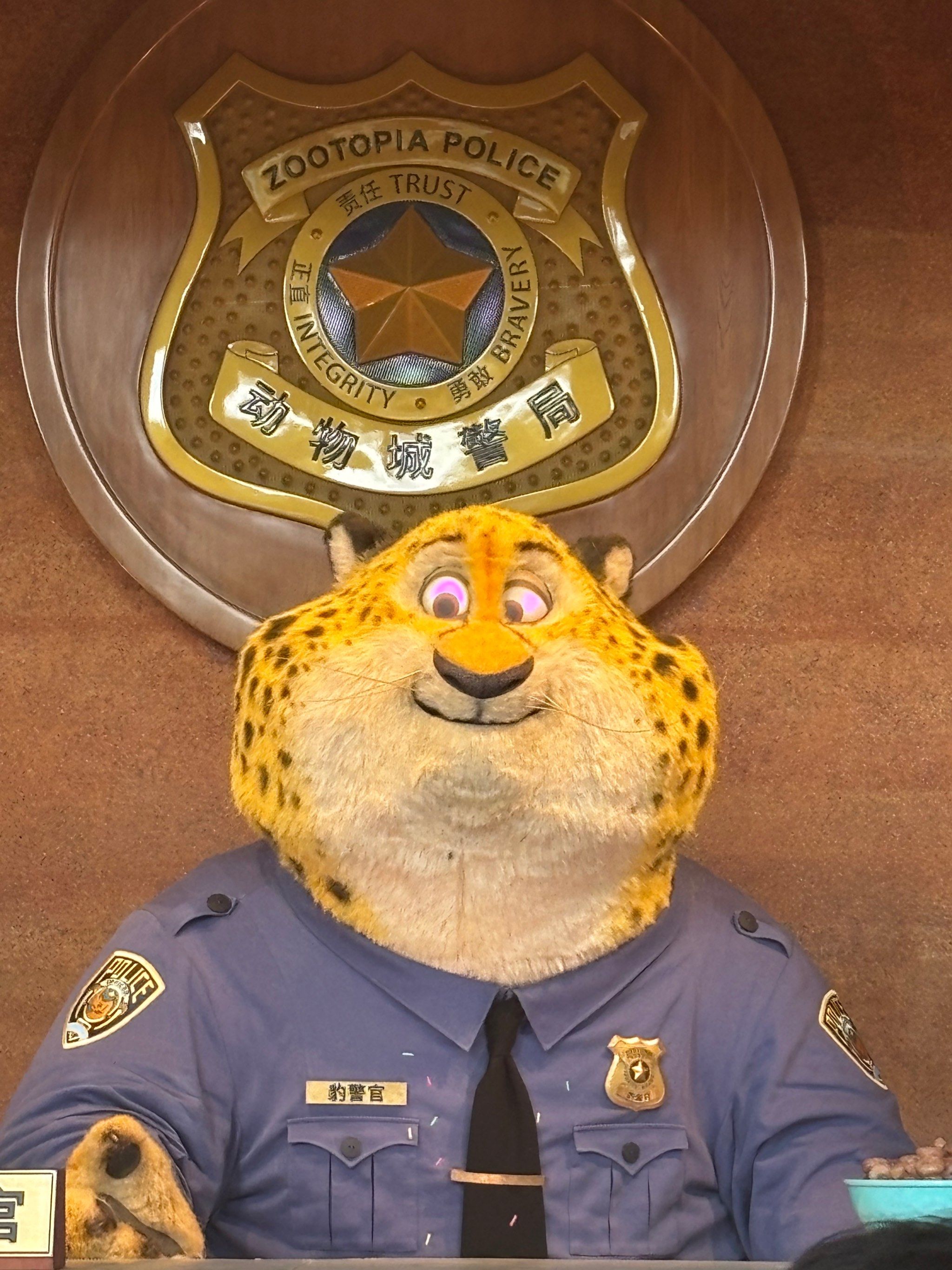 本杰明·爪豪斯